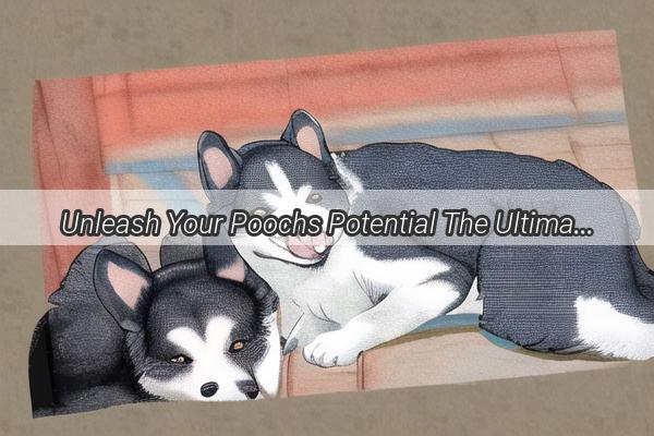 Unleash Your Poochs Potential The Ultimate Guide to Fluffing Up Your Dogs Ears